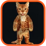 real talking cat android application logo